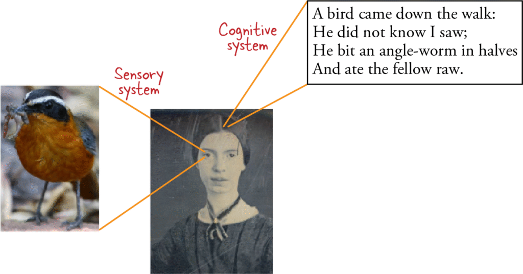 کتاب Practical Machine Learning for Computer Vision 2 فصل اول کتاب Practical Machine Learning for Computer Vision